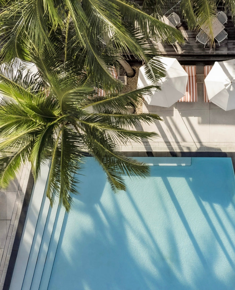 SWISS DETOX x W South Beach